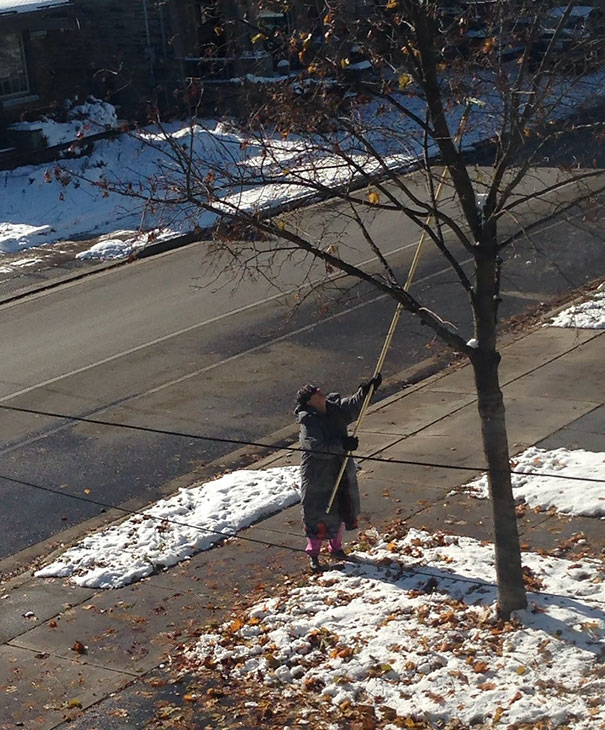 Our Crazy Neighbour Can't Wait For The Last Leaves To Fall
