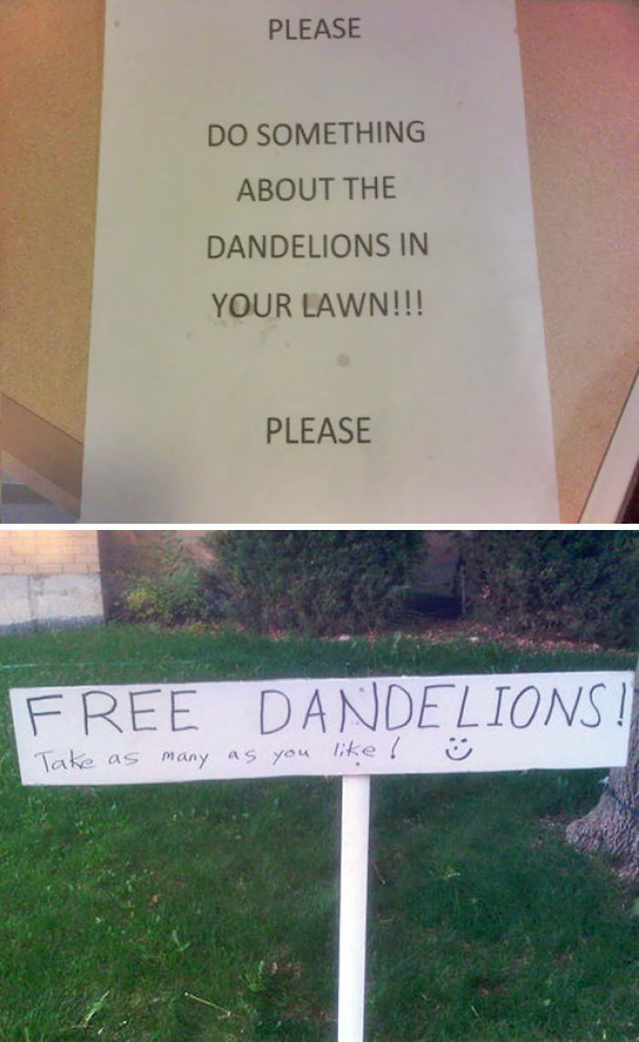 Creative neighbors, one sign pleads to remove dandelions while another offers them free.