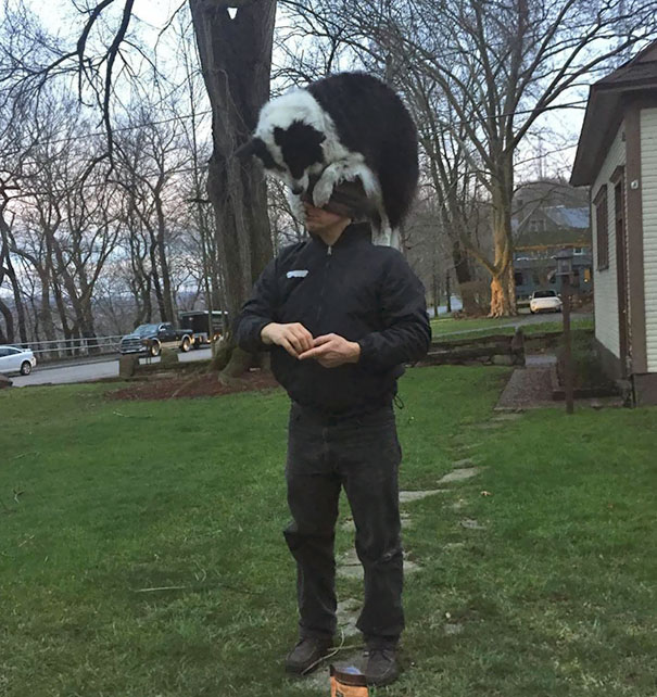 My Friend's New Neighbor Has A Weird Way Of Introducing Himself And His Dog