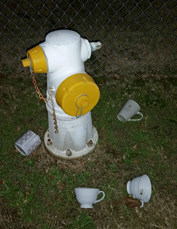 Outside Neighbor's Gate. They Change Often