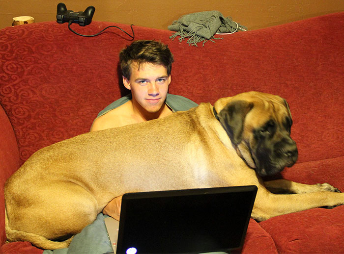 Your Cats Have Nothing On Hank