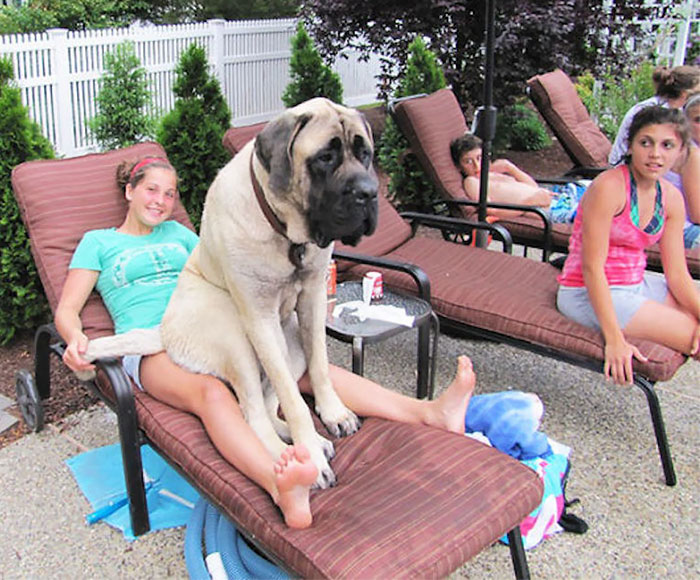 Not As Small As He Believes