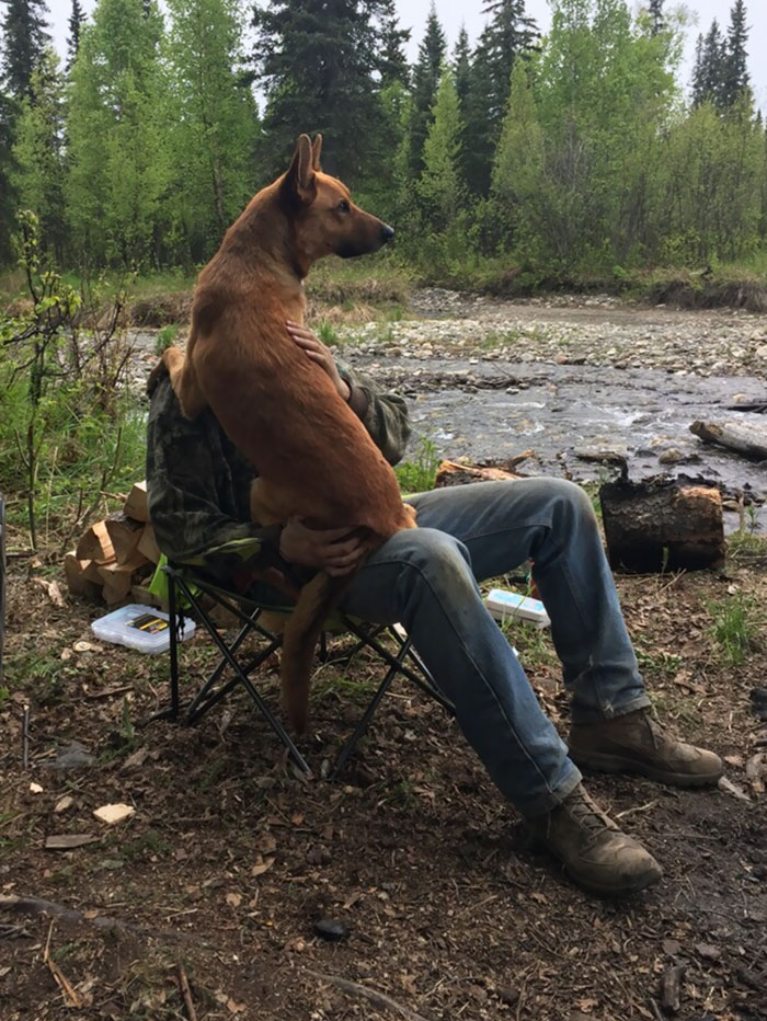 He Thinks He's A Lap Dog
