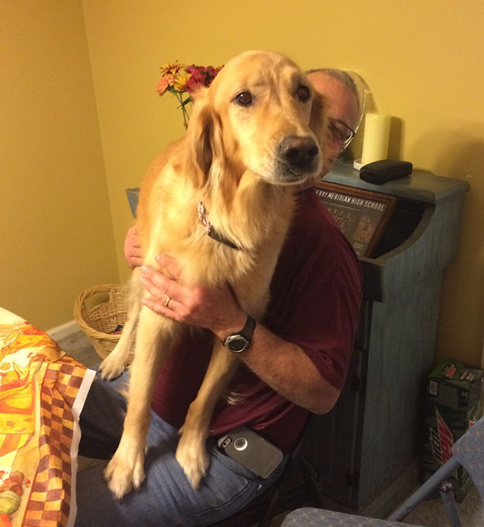 When She Gets Scared, She Thinks She's A Lap Dog