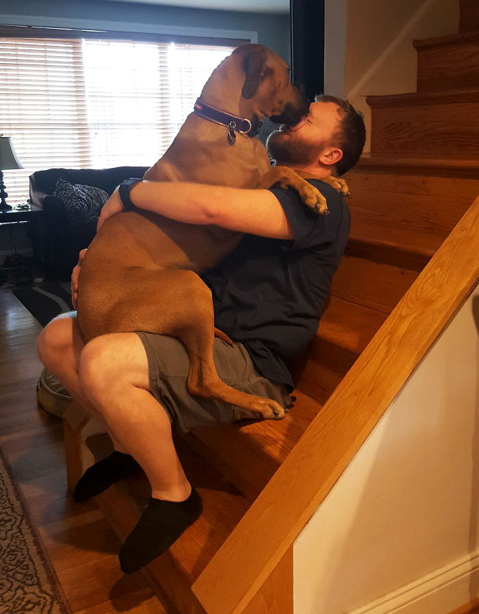 100 Lbs Of Lap Dog