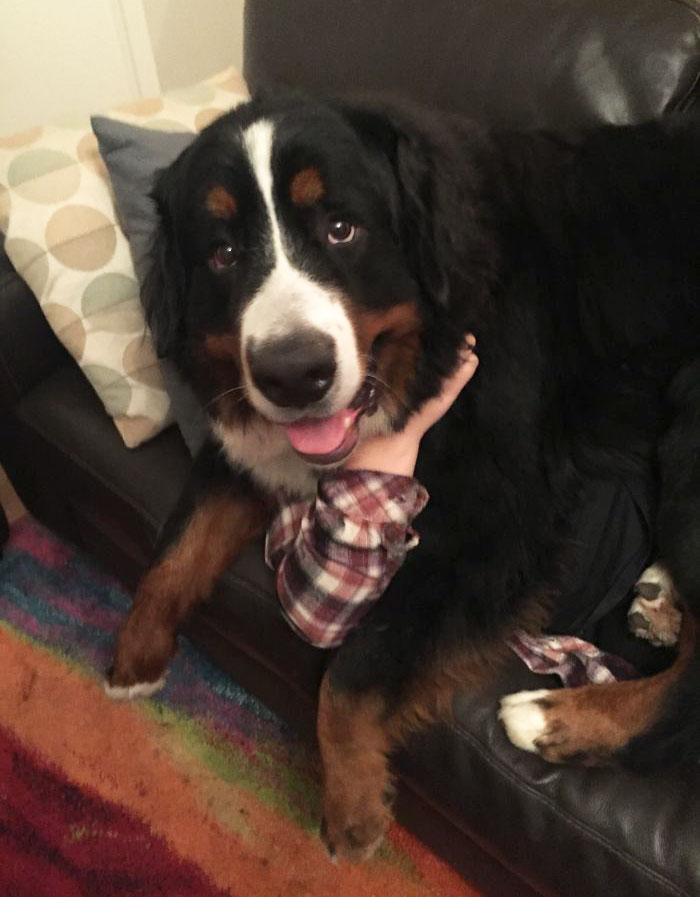 I'm Under There Somewhere...