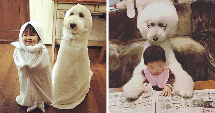 This Little Japanese Girl And Her Pet Poodle Will Make Your Day