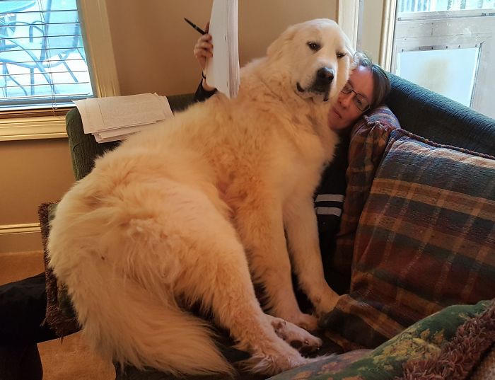 I Didn't Want To Grade Those Essays Anyway.