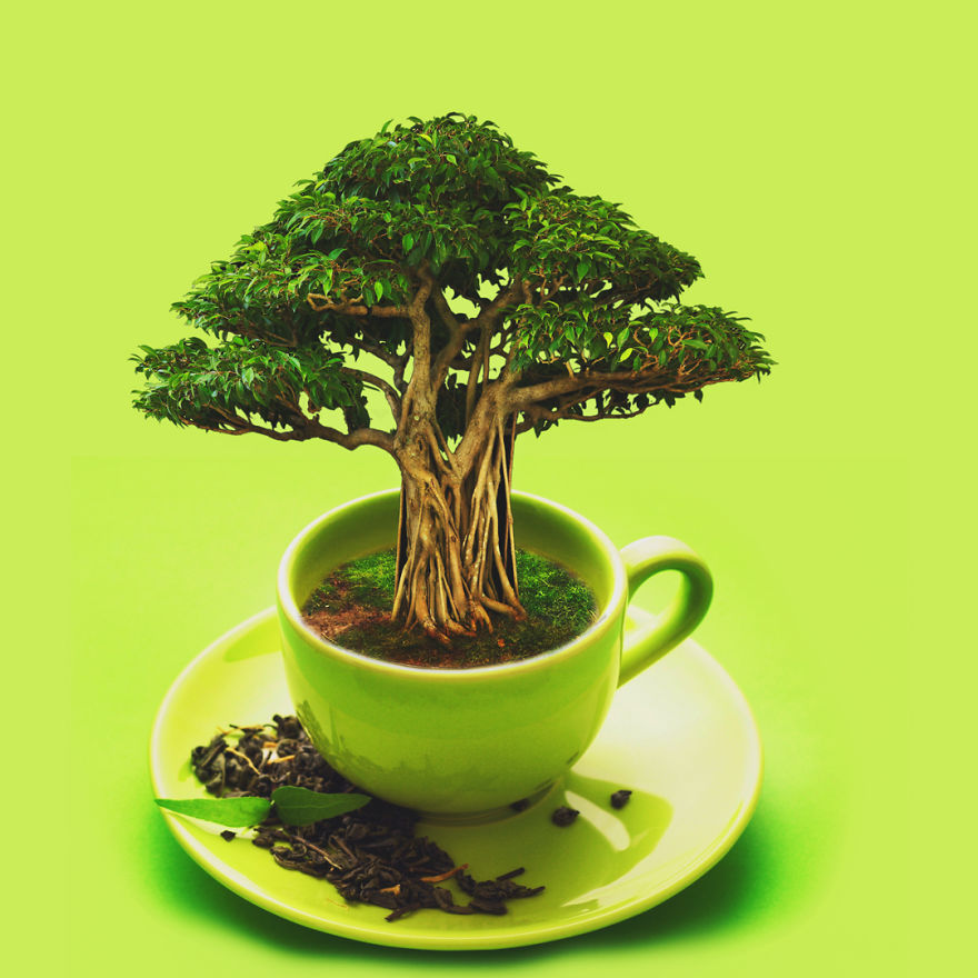 I Create Worlds In My Cup