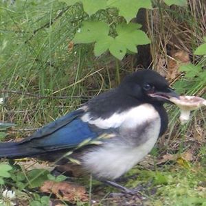 54c5417a299f8 avatar