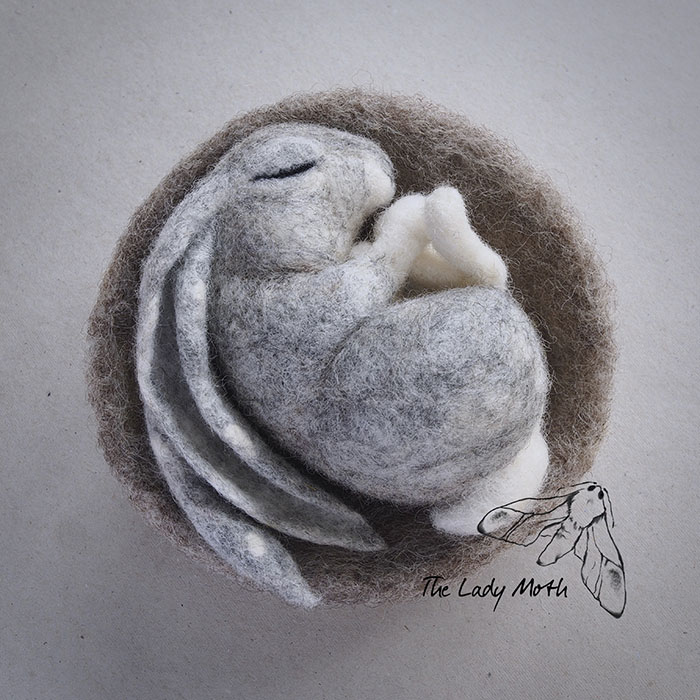 Wildlife - My Inspiration