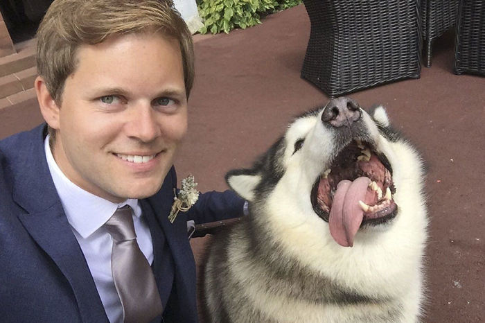Couple Makes Their Malamutes Best Man And Maid Of Honor For Their Wedding And It's Too Cute