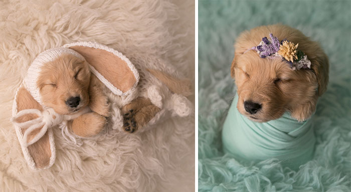 My Son Kept Asking Me For A New Baby, So I Got One…