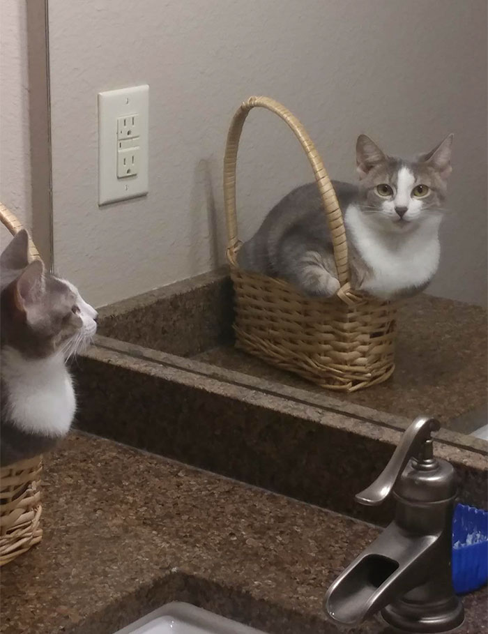 Almost In The Sink, But Fits In The Basket