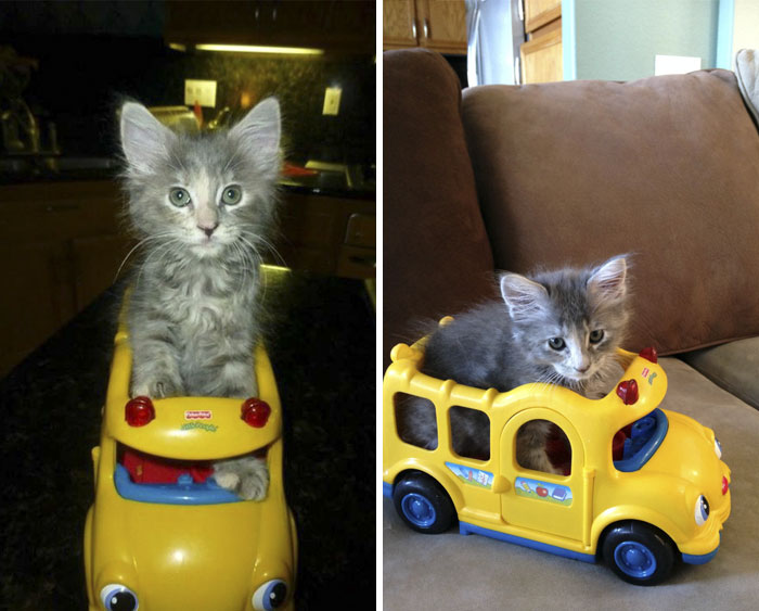 If It Fits, She Sits