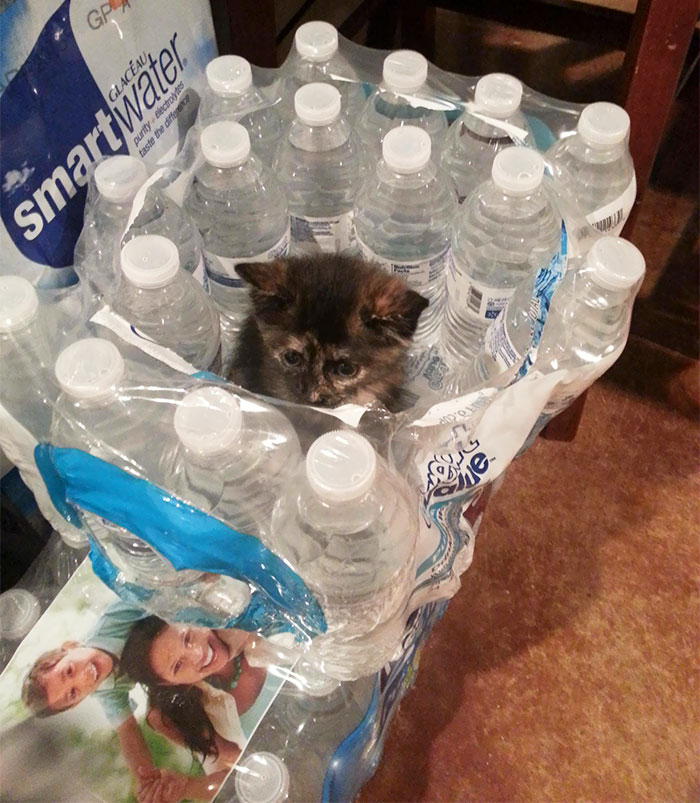 She's Starting Her "If I Fits, I Sits" Early