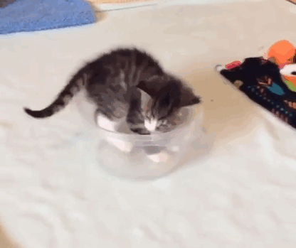 Can I Fits And Sits Too?