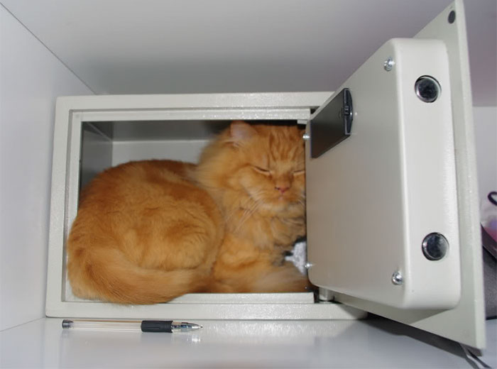 Apparently This Is Where I Keep All My Valuables