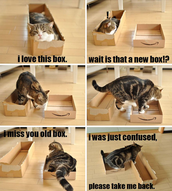 Cat Logic
