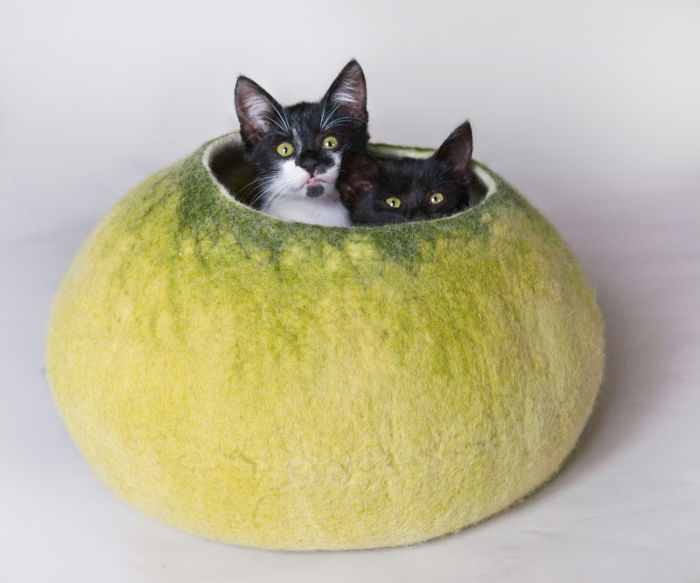 That's Why I Have Created Wool Cocoon For Cats :)