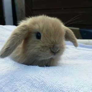 libbyfroberts avatar