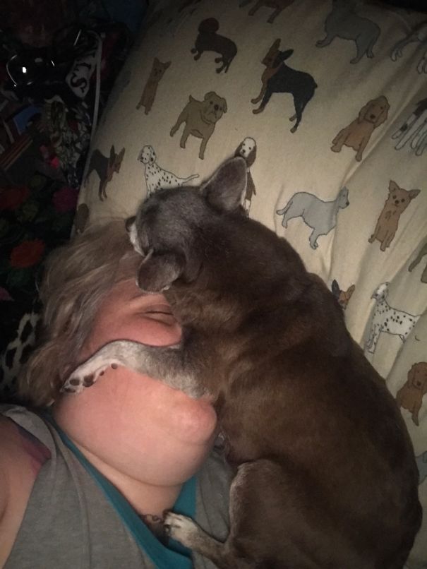 I Guess This Has Become So Normal Now I Sleep Through It!