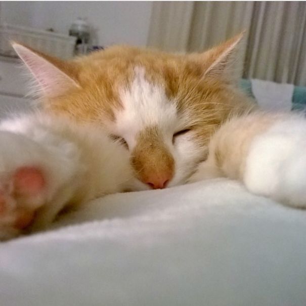 I Wake Up To This Most Mornings