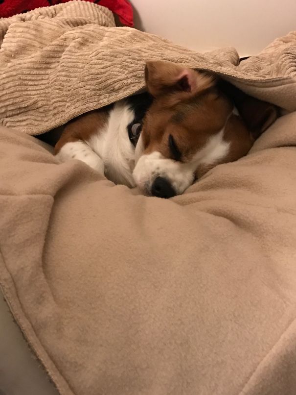 I Wake Up To My Girl Every Morning!