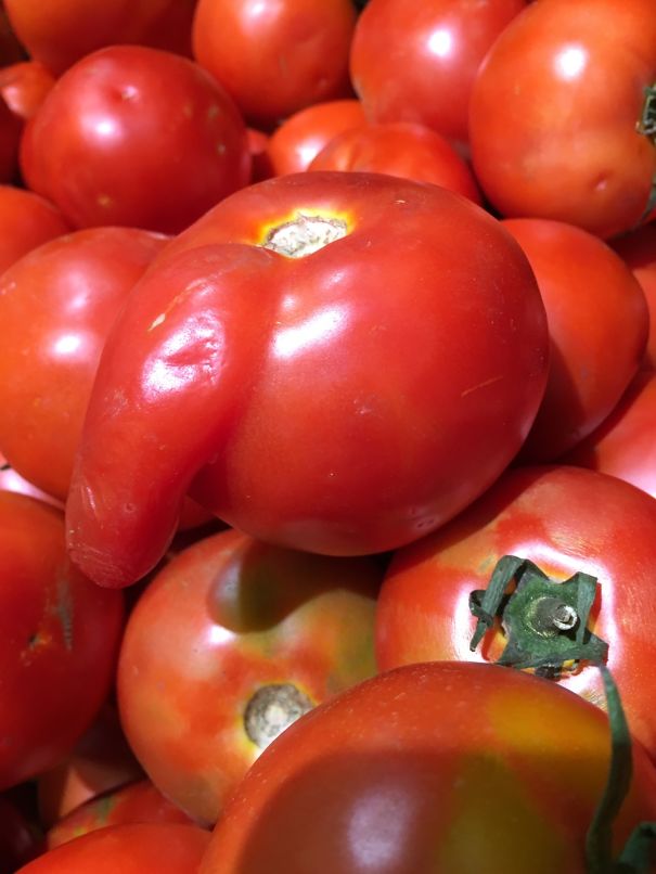 Tomato With Build In Penis!