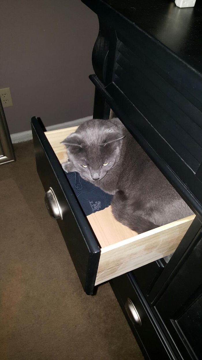 I'm Big But I Fits!