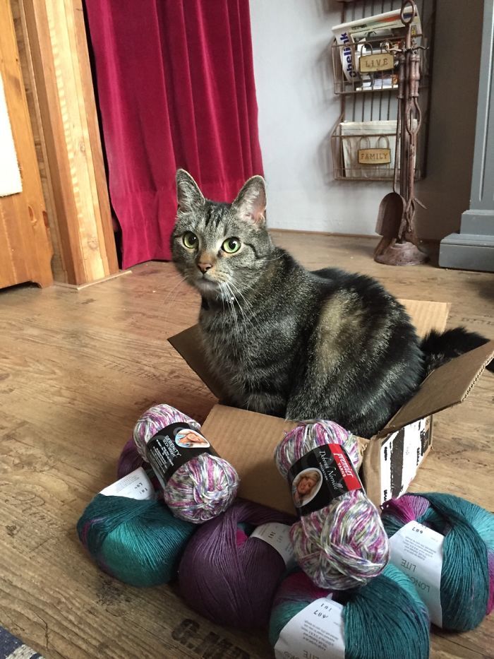 This Box Is Mine Now!