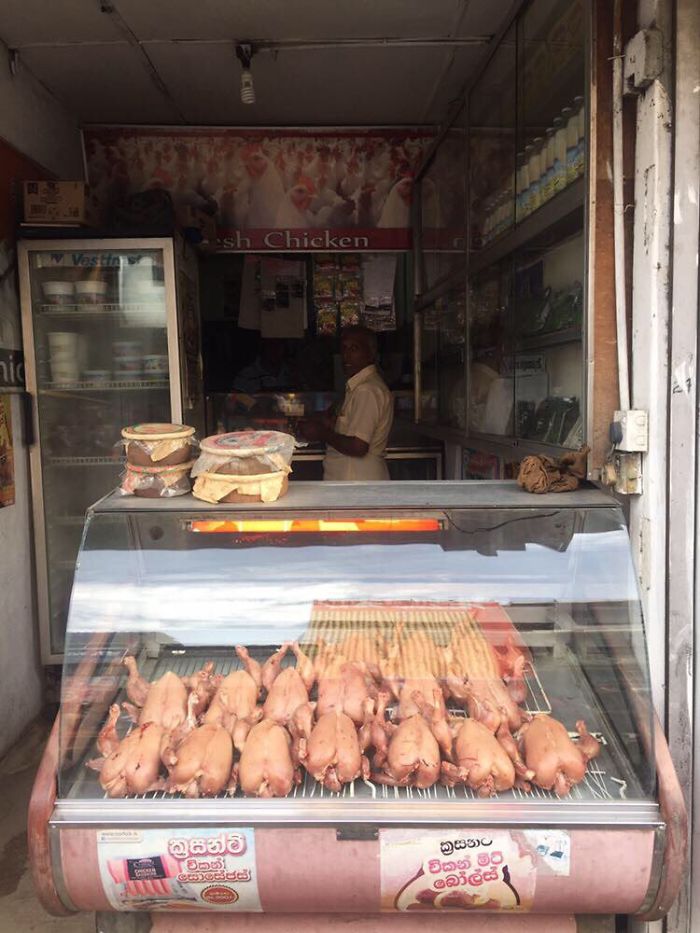 I Volunteered For 6 Weeks In Sri Lanka And It Changed My View Of The World Completely I Volunteered For 6 Weeks In Sri Lanka And It Changed My View Of The World Completely