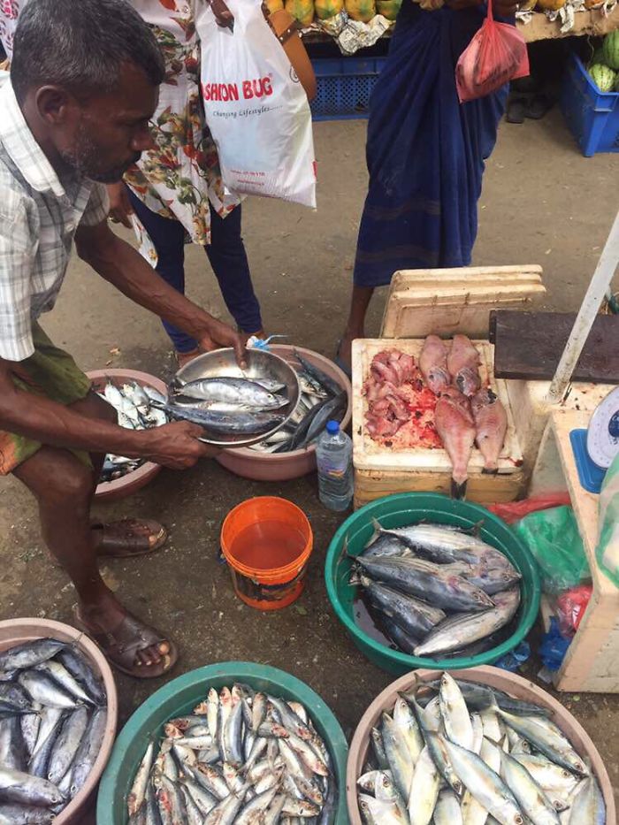 I Volunteered For 6 Weeks In Sri Lanka And It Changed My View Of The World Completely I Volunteered For 6 Weeks In Sri Lanka And It Changed My View Of The World Completely