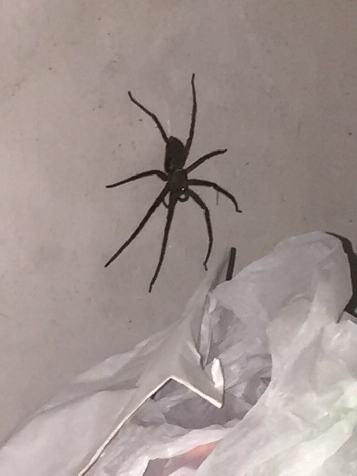 I Volunteered For 6 Weeks In Sri Lanka And It Changed My View Of The World Completely I Volunteered For 6 Weeks In Sri Lanka And It Changed My View Of The World Completely