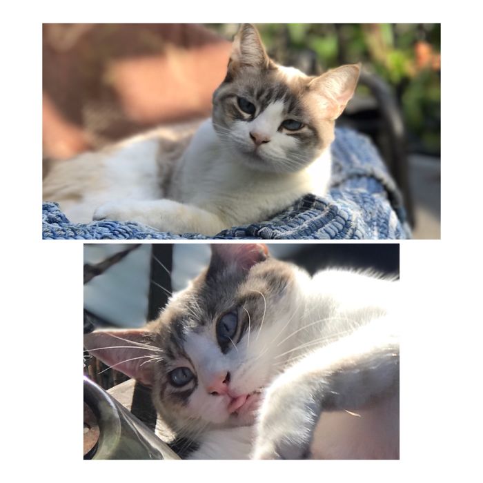 Hey You Guuuuuyyyyyssssss !!!!!