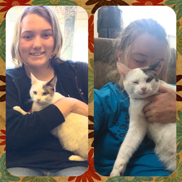 Noel- Day 1- 3/4 Of A Year