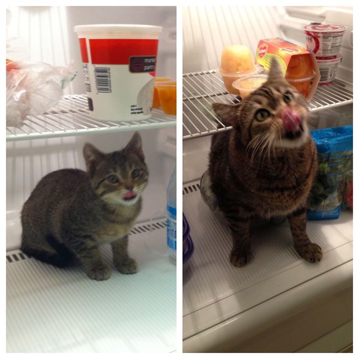 Not Much Has Changed