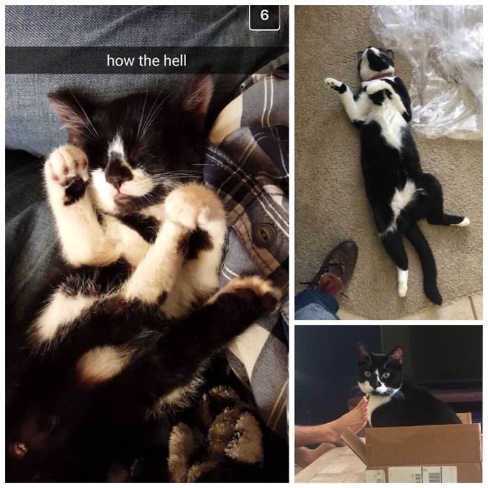 His Name's Johnny And He's Still A Dingus