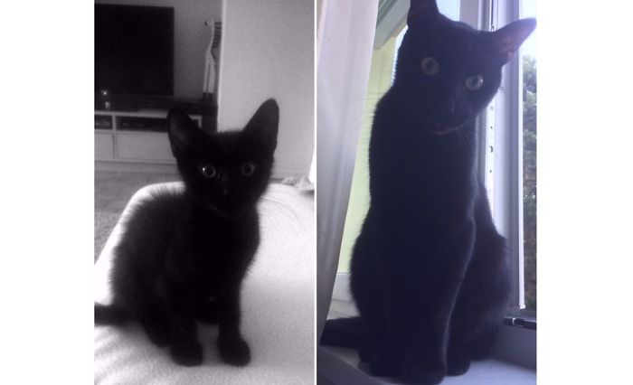 Evan, 3 Months/1 Year