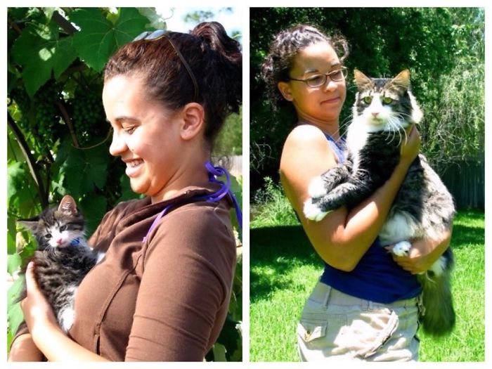 He Was Just A Normal Kitten, And Then He Exploded