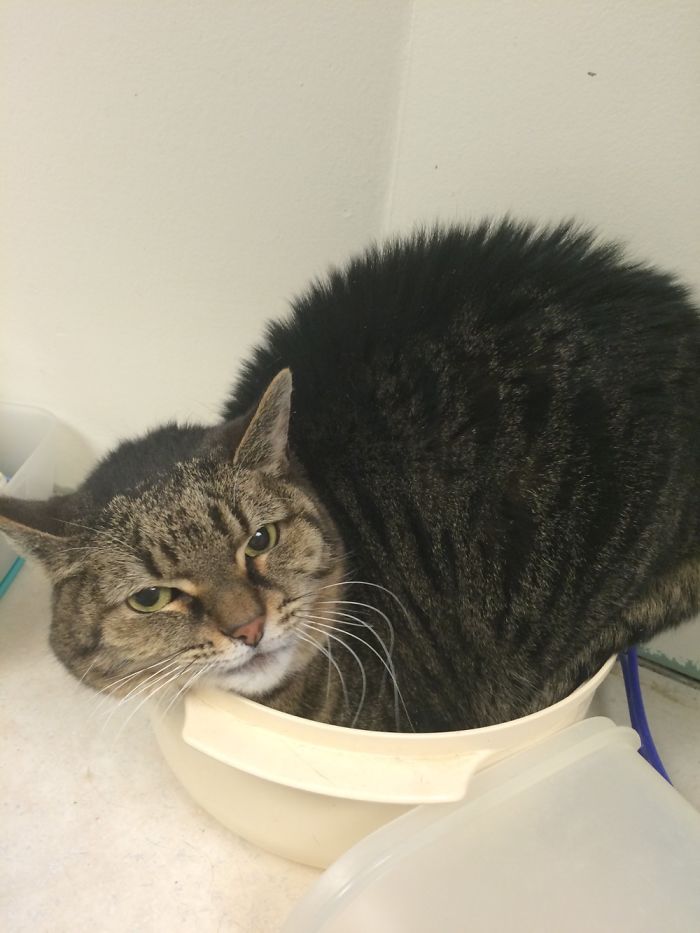 Luna Is Determined To Sit And Fit