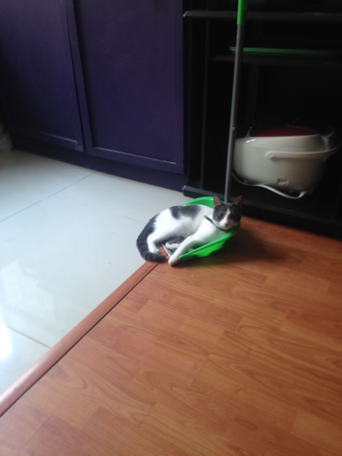 I Think He Doesn't Understand What Is It For.