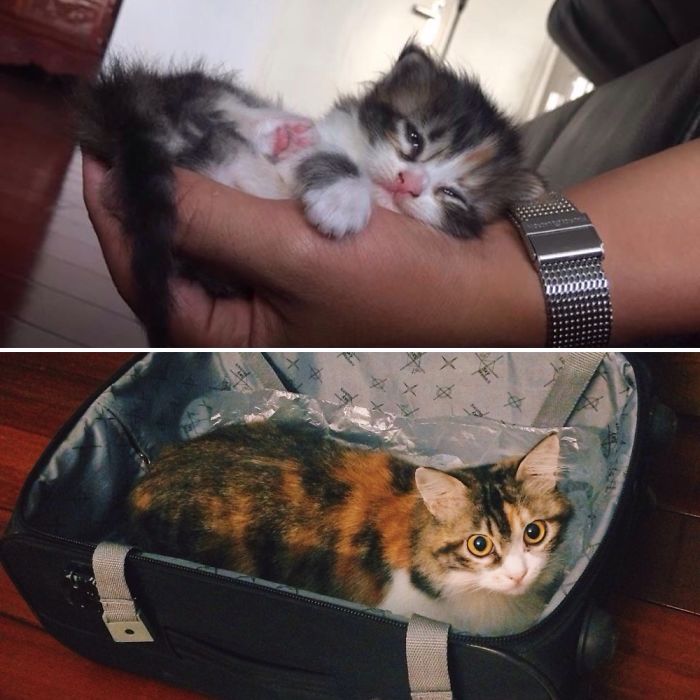 My Baby Grace Has Grown So Much.