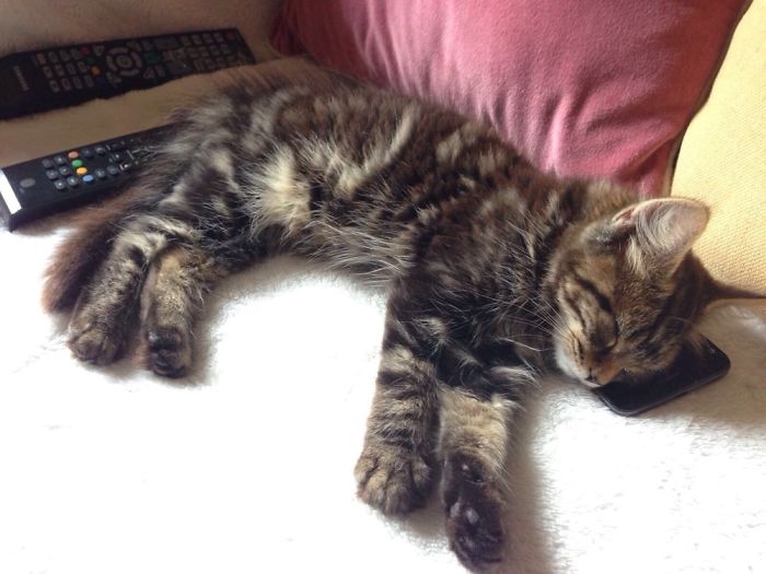 From Sleeping On The Phone...