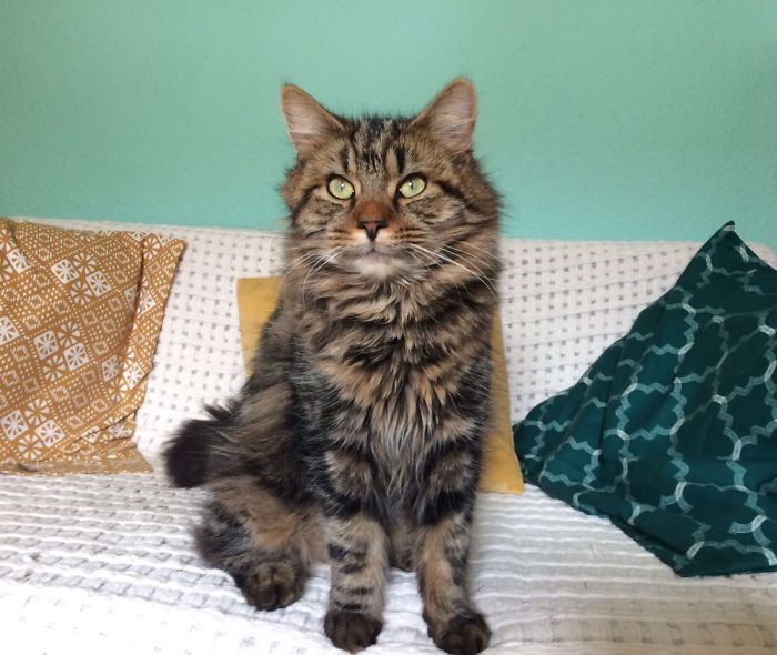 To Standing Like A King