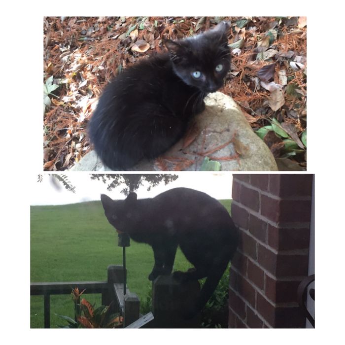 Winchester A.k.a. Winnie A Year Apart