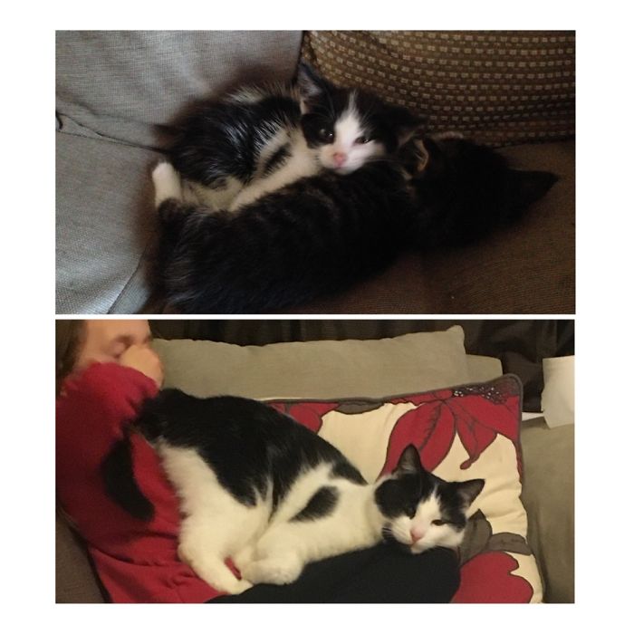 Giving No F*cks Who He Sits On At Any Age!