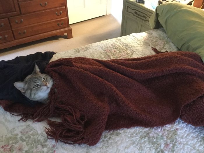 Best Way To Spend A Lazy Rainy Afternoon… Ever