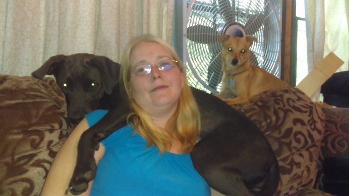 Not A Lap Dog, She Is A Scarf!