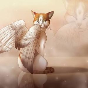 sunshine-rays734 avatar